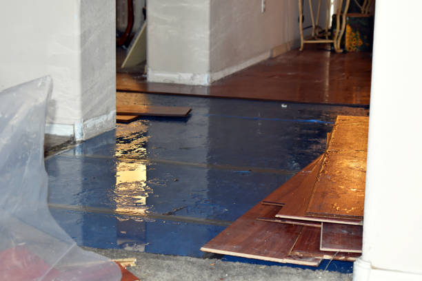 Professional Basement Flood Cleanup technician working in Rossville, MD